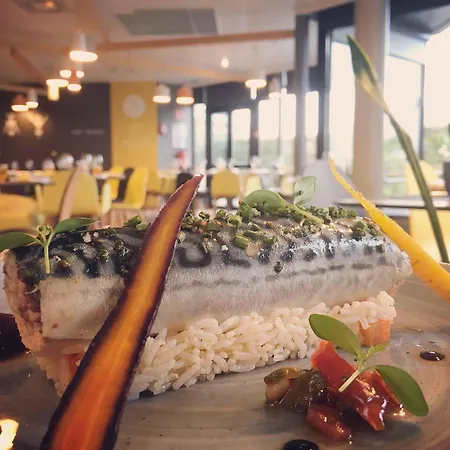 Novotel מלון